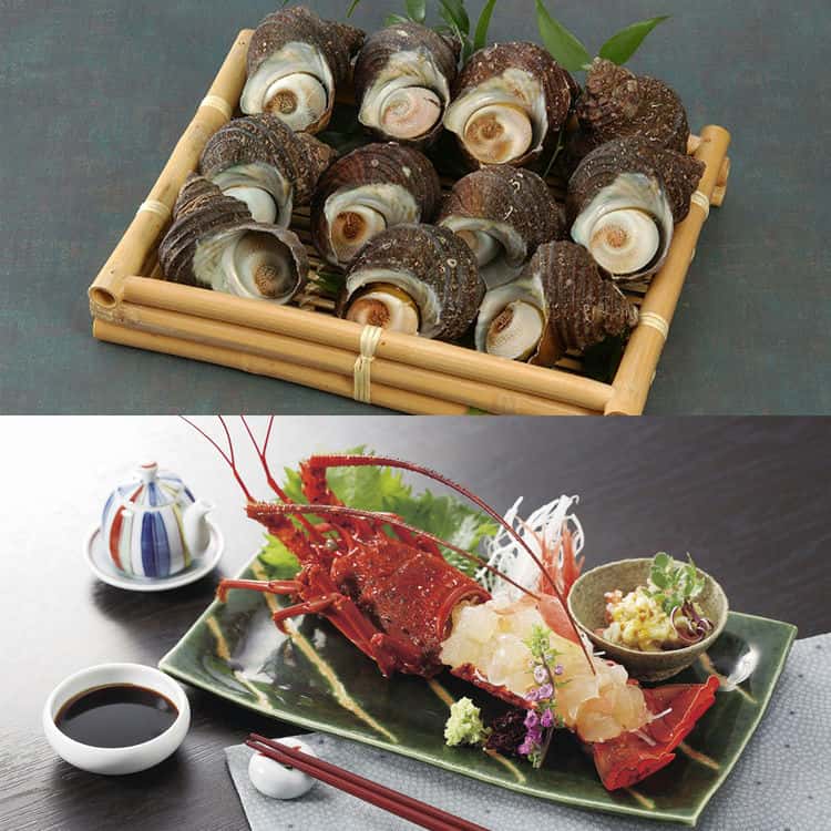 徳島 天然伊勢海老と天然サザエ詰合せ 伊勢海老1尾 120g～150g サザエ1kg 加熱調理で様々な料理にお使い頂けます ご進物 ギフト 贈り物に 離島配送不可