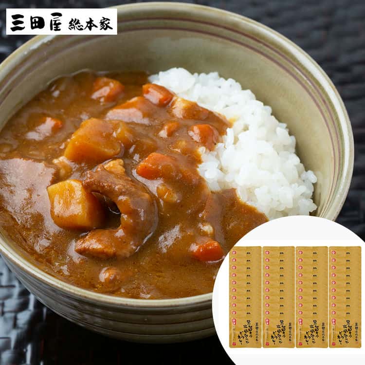【ポイント2倍!マラソン終了まで】 三田屋総本家 黒毛和牛 欧風ちょこっと ビーフカレー 中辛 40食 黒毛和牛を使用した贅沢なビーフカレーを少しとろみのある欧風タイプに仕上げました お茶碗一杯分のちょこっとサイズ ご進物|Sies Rosso シーズ ロッソ