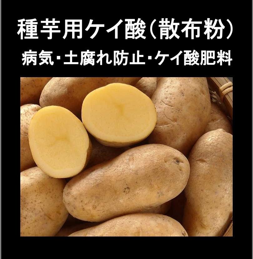 楽天市場 防カビ珪酸 じゃが芋灰 種いも灰 ５ｋｇ ジャガイモ１５０kg分 2 5k ２袋 送料無料 ジャガイモ 馬鈴薯 灰 わら灰 藁灰 種芋 じゃがいも用 じゃがいも ジャガイモ用肥料 じゃがいも用肥料 ソフトシリカ ミリオン ハイポネクス ｈｂ１０１ 有機