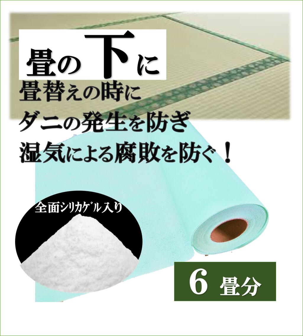 防ダニ防カビ剤入り口 畳乾燥状態椅子 畳部分 Cm 貨物輸送無料 畳 畳シート 畳殺虫剤シート 除湿シート 畳役立つことシート フローリングシート 置き 畳 引っ敷きシート カーペット用シート 材カーペット用 タイルカーペット用 ダニシート 防ダニシート Bluvyne Com