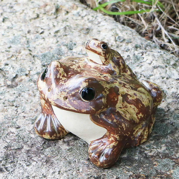 信楽焼 5号数蛙 縁起物カエル チャイナ蛙 やきもの 陶器 しがらきやき 蛙 陶器かえる 信楽焼カエル かえる 園 カエル やきもの ちゃんころ天運 しがらき Ka 0003 Afic Association Org