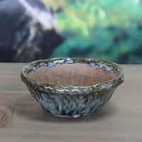 信楽焼 和風 おしゃれ 山草鉢 手作り 陶器 植木鉢 一点もの 山野草鉢 山草 鉢 しがらき 陶器鉢 植木 鉢 sa-0268