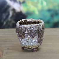 信楽焼 和風 おしゃれ 山草鉢 手作り 陶器 植木鉢 一点もの 山野草鉢 山草 鉢 しがらき 陶器鉢 植木 鉢 sa-0280｜信楽焼き専門店・陶器工房しがらき 9,636円