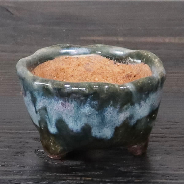 【今だけ限定10%OFFクーポン】山草鉢 手作りの陶器植木鉢 山野草鉢 信楽焼 山草 鉢 しがらき 陶器鉢 植木 やきもの 信楽焼鉢 手づくり 多肉植物 塊根植物 sa-0350