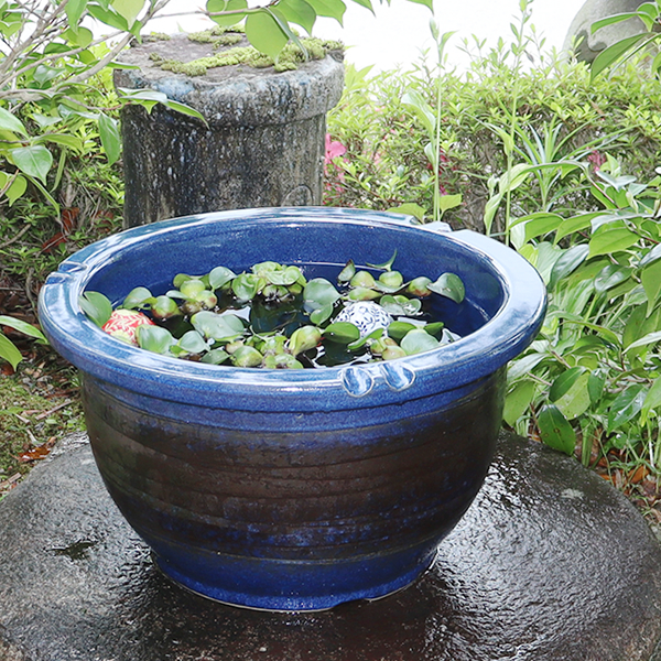 楽天市場】【7月4日開始15%OFFクーポン】水鉢 すいれん鉢 信楽焼