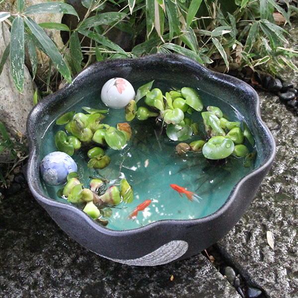 Shigarakiyakisenmonten Tokikobo Shigaraki Rakuten Global Market