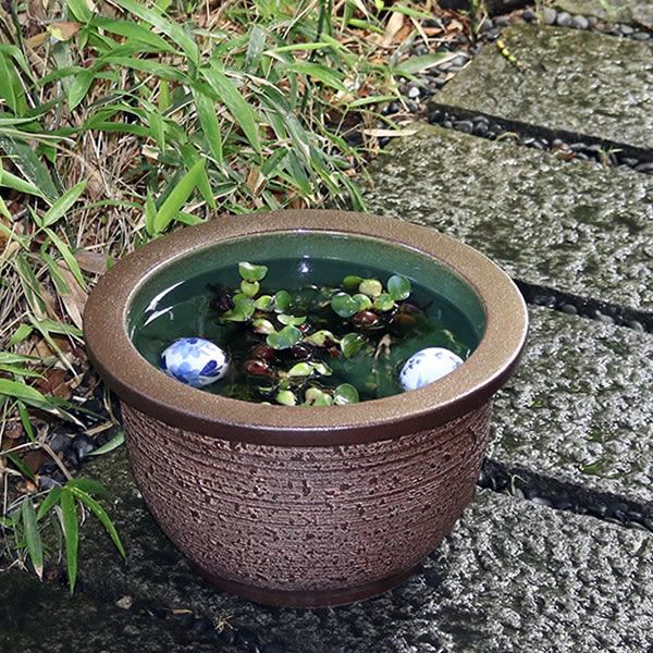 信楽焼 和風 今めかしい   13号松皮睡蓮鉢 メダカ鉢、金魚鉢にも至適 スイレン鉢 瀬戸もの睡蓮鉢 芙蓉鉢 はす鉢 めだか鉢 鉢 瀬戸もの 水連鉢 水鉢 スイレン鉢  きスイレン鉢 su-0201