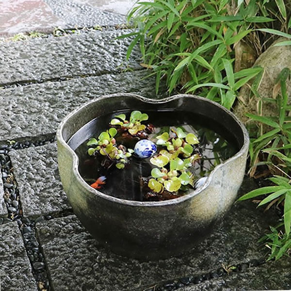 信楽焼 和風 おしゃれ メダカ鉢 金魚鉢 睡蓮鉢 水鉢 手水鉢 すいれん鉢 瀬戸物鉢めだか鉢 藕鉢 水連鉢 鉢 しがらき 睡蓮 陶器睡蓮鉢 蓮 手作り水鉢 Su 0217 Ultimatefosters Com