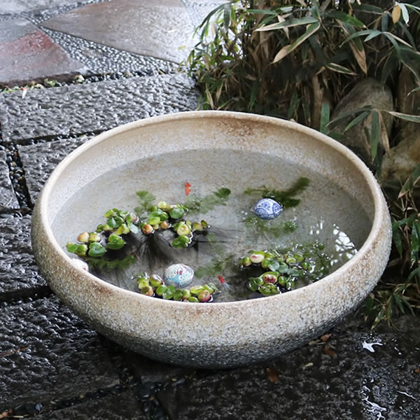 信楽焼 和風 今めかしい 睡蓮鉢 大型 瀬戸もの水鉢   水鉢 鉢 金魚鉢 めだか鉢 すいれん鉢 メダカ鉢 芙蓉鉢 気が大きい鉢 しがらき スイレン鉢   25号瀬戸もの鉢  su-0225