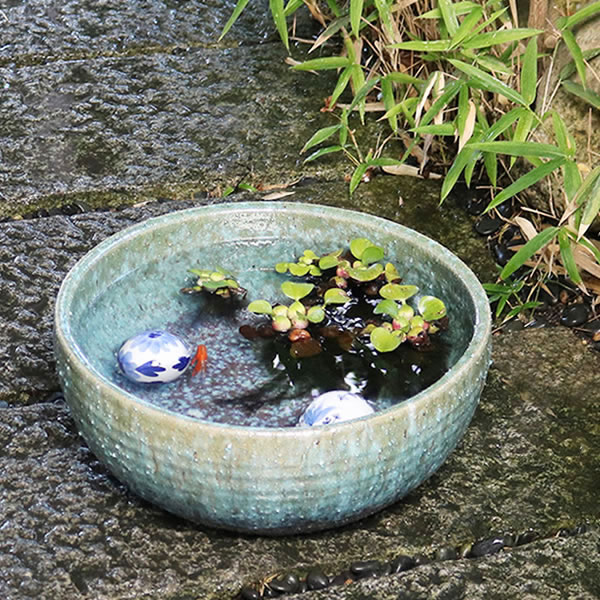 水鉢 すいれん鉢 信楽焼すいれん鉢 メダカ鉢、 金魚鉢にも最適 睡蓮鉢 陶器スイレン鉢 ハス鉢 はす鉢 めだか鉢 鉢 陶器 水連鉢 水鉢 信楽焼き睡蓮鉢 手水鉢 su-0239