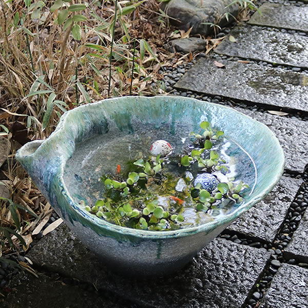 【ポイント5倍】水鉢 すいれん鉢 信楽焼すいれん鉢 メダカ鉢、 金魚鉢にも最適 睡蓮鉢 陶器スイレン鉢 ハス鉢 はす鉢 めだか鉢 鉢 陶器 水連鉢 水鉢 信楽焼き睡蓮鉢 手水鉢 変形水鉢 su-0244