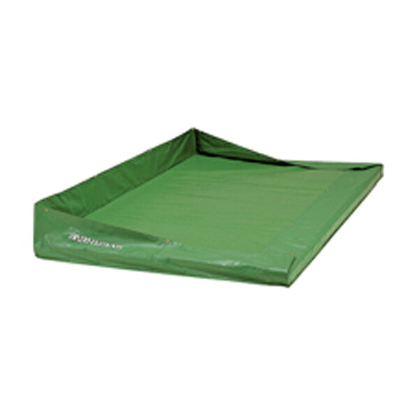 【貨物輸送無料】エバニュー EGD413 エバーメッシュかばい立て引っ敷き ２００×３００×１０×４０ EVERNEW
