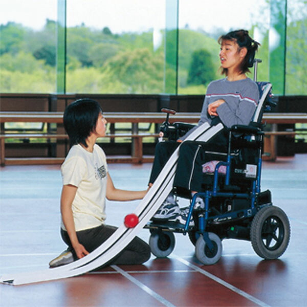 【送料無料】エバニュー ETE032 ボッチャランプス EVERNEW