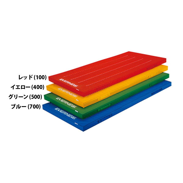 【送料無料】エバニュー EKM415 500 屋内外兼用体操マット １２０×２４０ グリーン EVERNEW