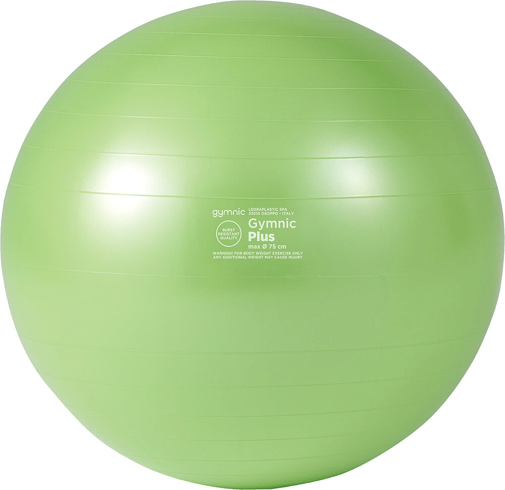 ダンノ ギムニクカラーボールＰＬＵＳ ７５ ライムグリーン DANNO D5423LMG