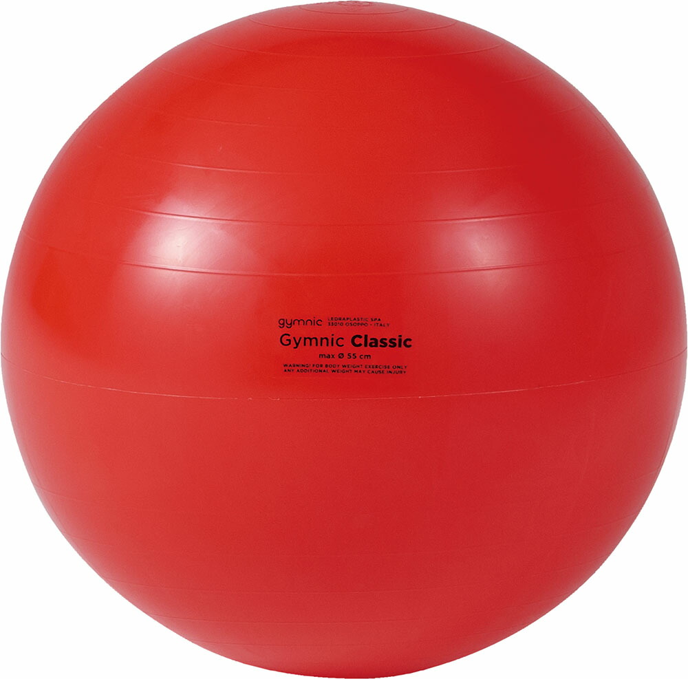 楽天市場】【Wアクションポンププレゼント】 バランスボール ヨガ