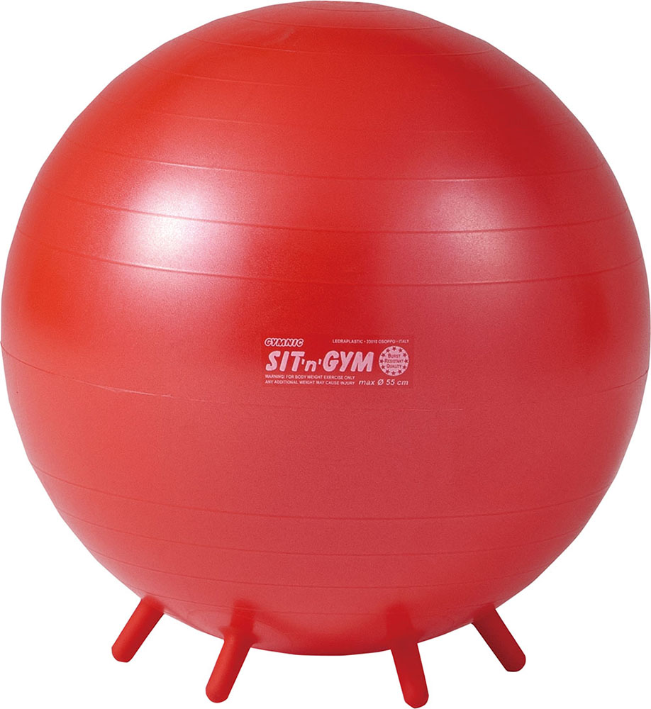 ダンノ ギムニクシッティングボール 55 DANNO D5419
