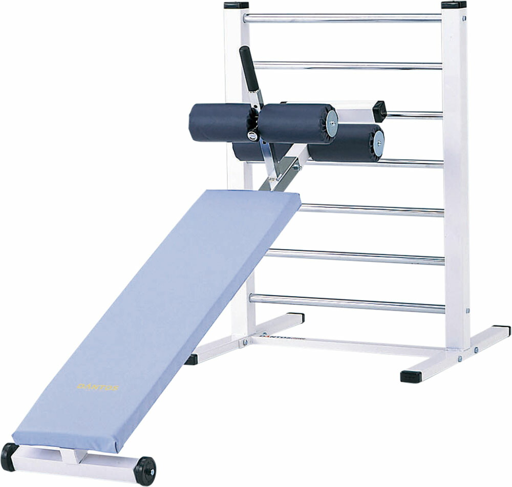 楽天市場】トレーニングベンチ ダンノ（DANNO)アブドミナルボードDXS