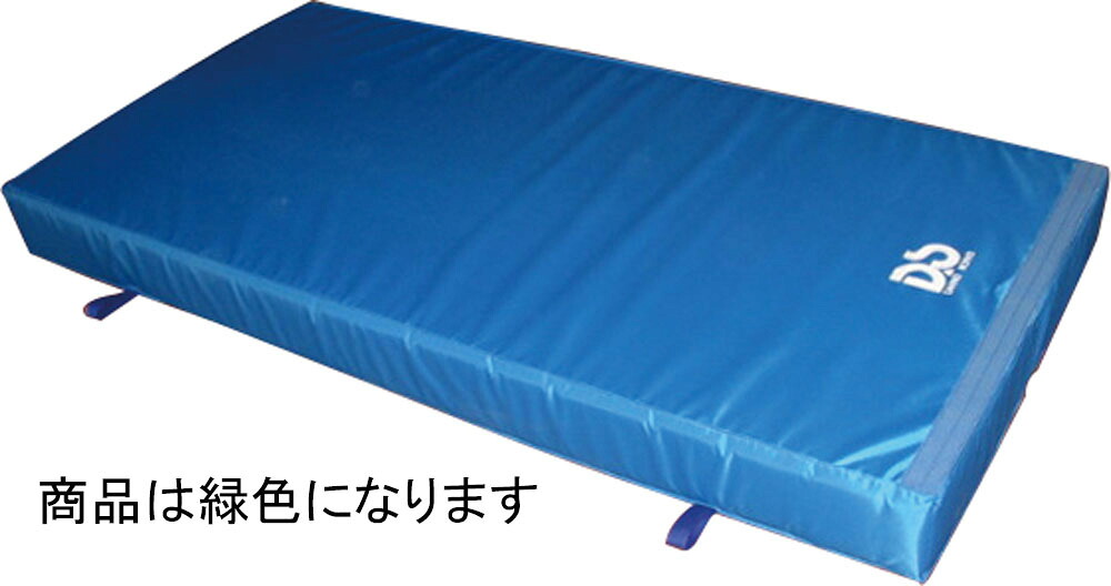 【送料無料】ダンノ エンジョイホールド用セフティマット（屋内用） DANNO D3286G
