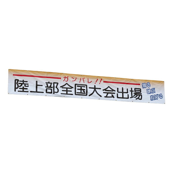 【貨物輸送無料】ダンノ 吹き流し（色つや刷り上げる付）（６０×２４０） DANNO D4973