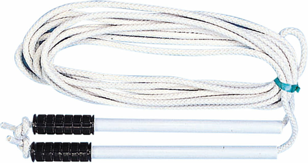【送料無料】ダンノ グループジャンプロープ ＥＣＯ１５ DANNO D6939