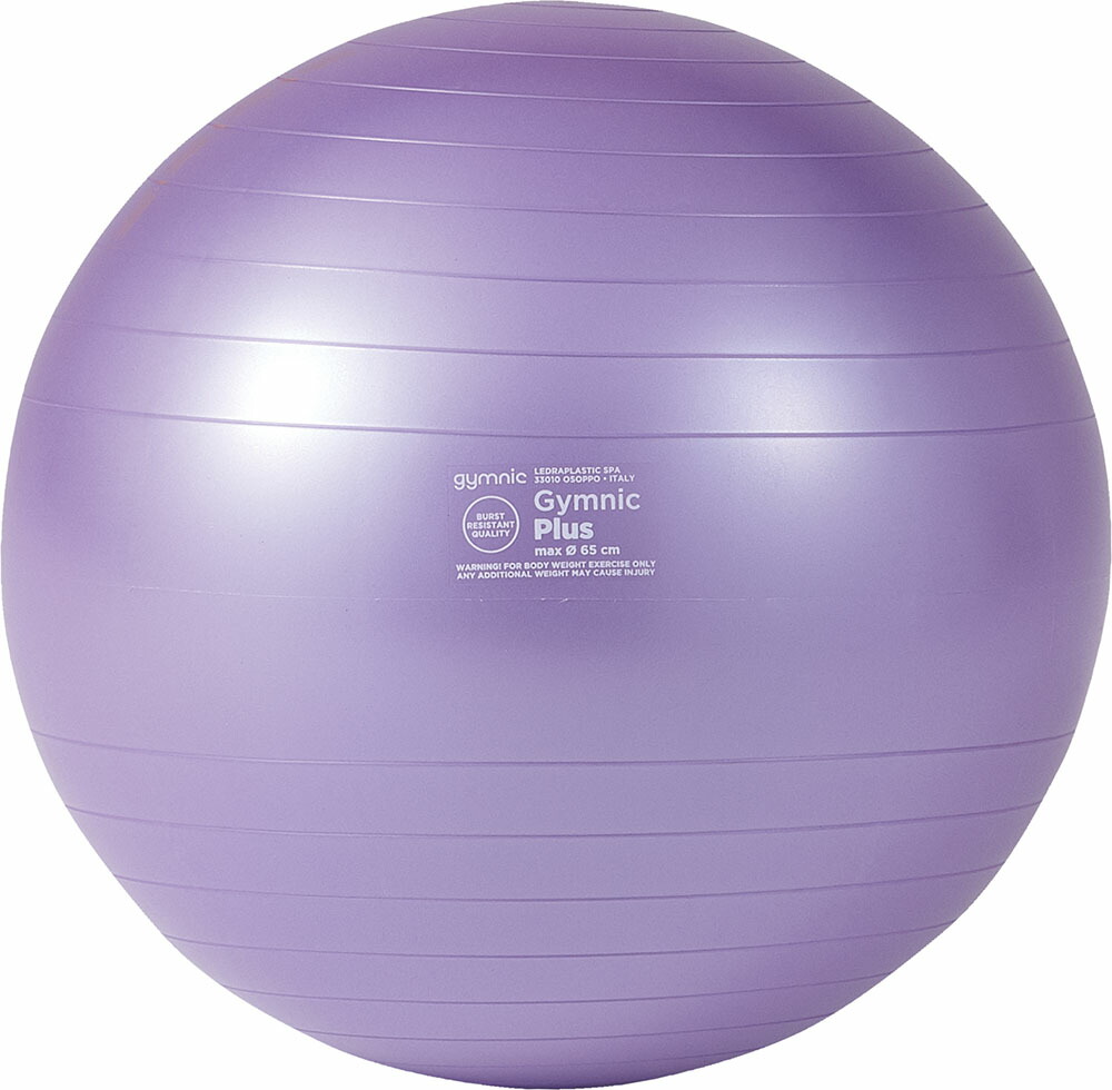 楽天市場】ダンノ ギムニクカラーボール PLUS 65 オレンジ DANNO