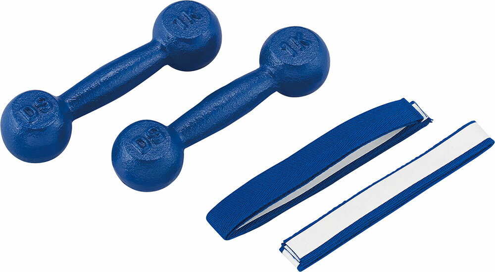 DANNO ダンノ 鉄アレイ 10kg D - 815 2本1組 楽天市場】【送料無料】ダンノ (DANNO) 鉄アレー 10kg D-815