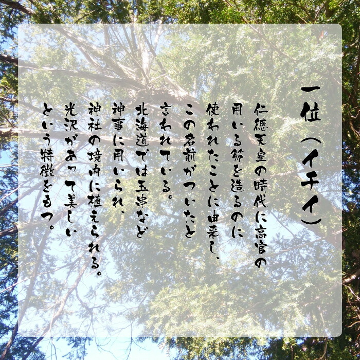 表札 木製 木製表札 木 戸建て 屋外 おしゃれ 風水 浮き彫り 和風 マンション 二世帯 オーダー オーダーメイド 縦 縦書き 高耐久性 銘木 一位 浮彫 和 スタイリッシュ シンプル コンパクト 文字 漢字 フルネーム 長方形 番地 住所 S855 Spotbuycenter Com