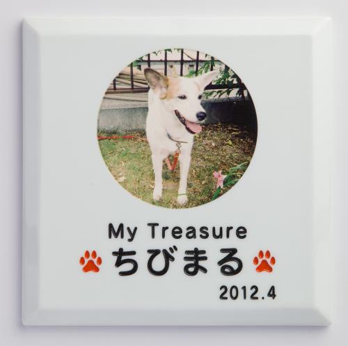 ペットオブジェ タイル 陶器 おしゃれ かわいい オーダー オーダーメイド サインアート オリジナル 有田焼 ナチュラル スタイリッシュ シンプル アルファベット 人気 ローマ字 文字 漢字 番地 住所 Bk513px 30 Off Ultimatesportsmen Com