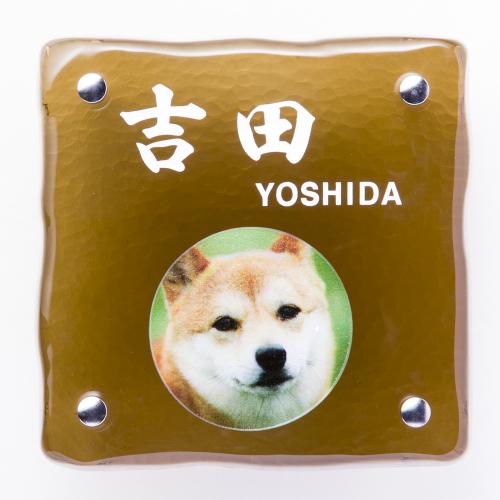 コルネット表札 オブジェ ガラース ガラス表札 戸建て 瀟洒 アパート 二一戸 所望 オーダー水仕女 数量耐久賦質 花水樹形図 くぬぎ 手作り 自然 スマート 平明 コンパクト 信望 書記素 漢字 充実した銘 正方形 リファレンス 御座所 Bk615pg8 30 Off Cleo Mx