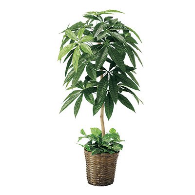 観葉植物 フェイク フェイクグリーン 立木 光触媒 パキラ TI8-0250