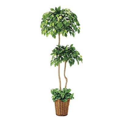 観葉植物 フェイク フェイクグリーン 立木 光触媒 ベンジャミンダブル TI8-0247