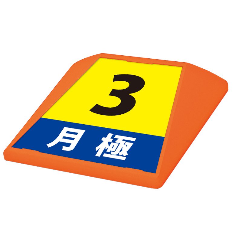 駐車場 看板 路面表示 路面標識 タートイズ オレンジ 表示面セット G-GT-001-O_008 月極_3｜看板のサインシティ　店