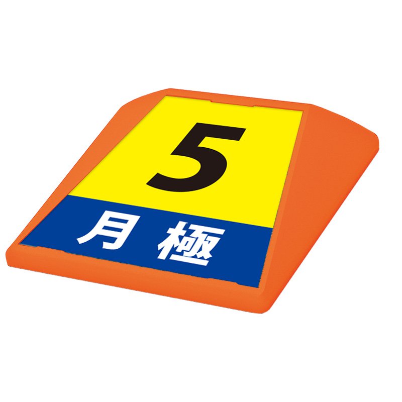 駐車場 看板 路面表示 路面標識 タートイズ オレンジ 表示面セット G-GT-001-O_010 月極_5