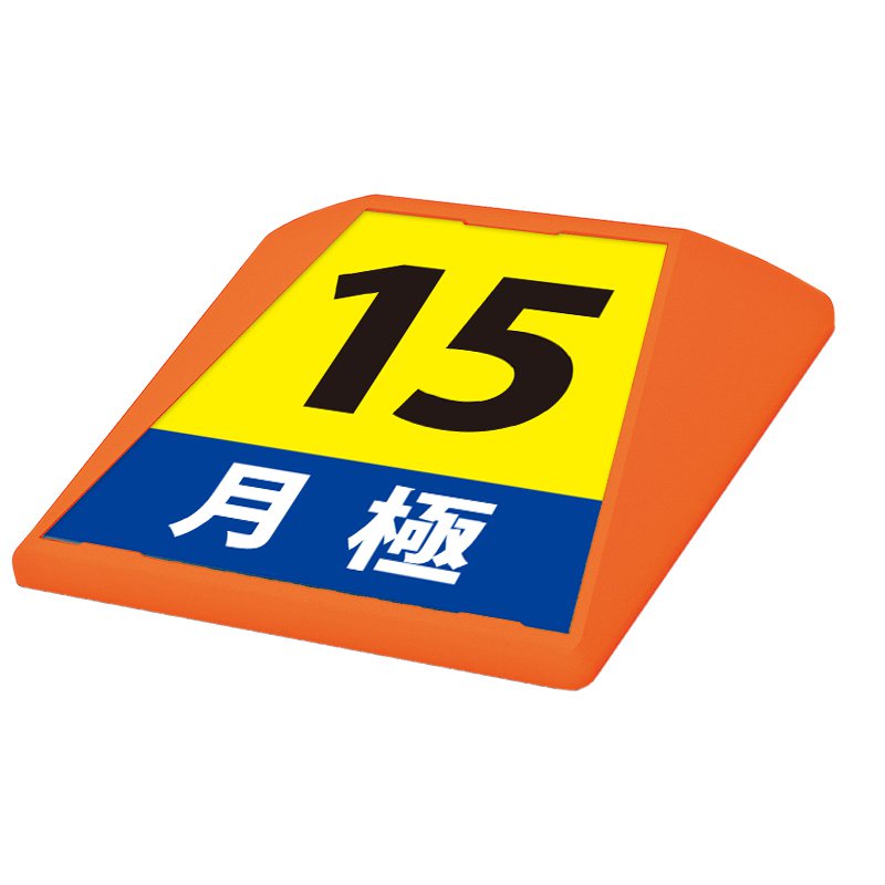 駐車場 看板 路面表示 路面標識 タートイズ オレンジ 表示面セット G-GT-001-O_020 月極_15｜看板のサインシティ　店