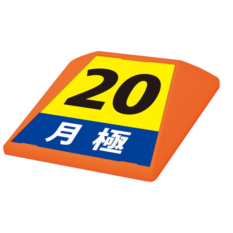 駐車場 看板 路面表示 路面標識 タートイズ オレンジ 表示面セット G-GT-001-O_025 月極_20