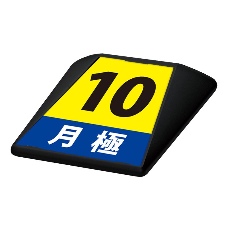駐車場 看板 路面表示 路面標識 タートイズ ブラック 表示面セット G-GT-001-K_015 月極_10