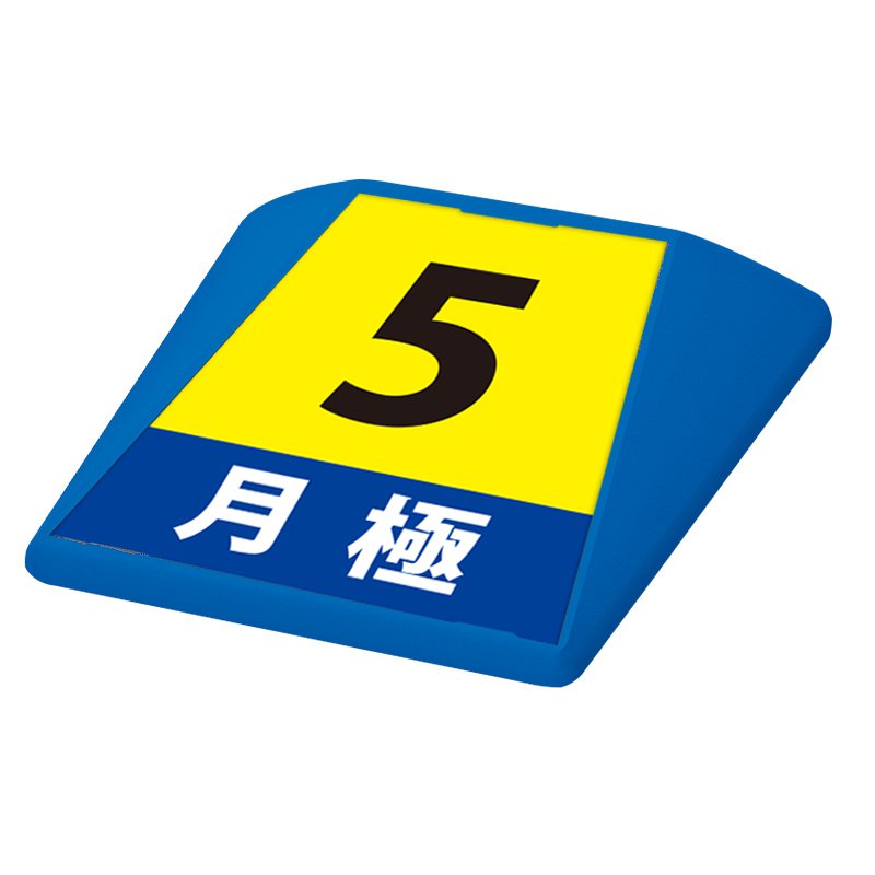 駐車場 看板 路面表示 路面標識 タートイズ ブルー 表示面セット G-GT-001-B_010 月極_5 11,715円