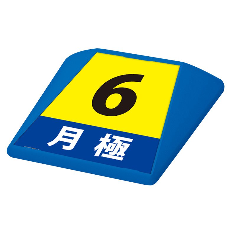 駐車場 看板 路面表示 路面標識 タートイズ ブルー 表示面セット G-GT-001-B_011 月極_6