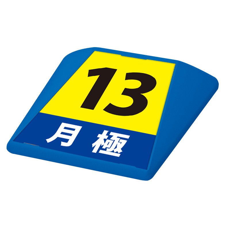 駐車場 看板 路面表示 路面標識 タートイズ ブルー 表示面セット G-GT-001-B_018 月極_13