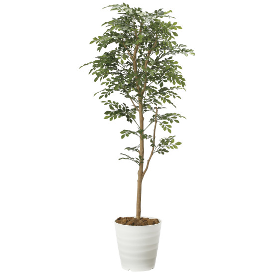 光触媒 人工観葉植物 造花 トネリコ 1.6 (高さ160cm) (2107P320) 店舗用品 光触媒 人工観葉植物・造花・フェイクグリーン フロア(鉢型)用人工観葉植物 125～160cm｜サインモール　店