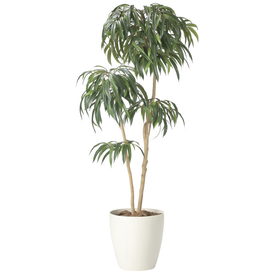 光触媒 人工観葉草木 造花 DXショウナンゴム1.8 (高さ180糎) (2417A500) バス発着場設備 光触媒 人工観葉草木・造花・フェイクグリーン 立ち会い場(鉢型)用人工観葉草木 165糎以上