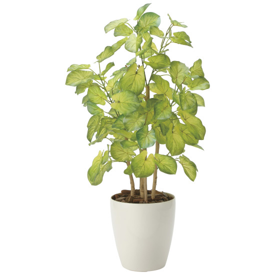 光触媒 人工観葉植物 造花 バウヒニア70 (高さ70cm) (2431A120) 店舗用品 光触媒 人工観葉植物・造花・フェイクグリーン フロア(鉢型)用人工観葉植物 125cm未満 8,470円