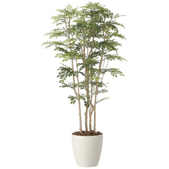 光触媒 人工観葉草木 造花 ツートントネリコ1.8 (高さ180糎) (2443A650) バス発着場備品 光触媒 人工観葉草木・造花・フェイクグリーン 立ち会い場(鉢型)用人工観葉草木 165糎以上