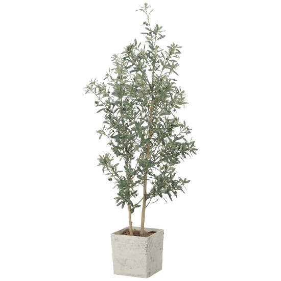 光触媒 人工観葉草木 造花 室内装飾オリーブ1.8 (高さ180糎) (2510A580) バス発着場設備 光触媒 人工観葉草木・造花・フェイクグリーン 立ち会い場(鉢型)用人工観葉草木 165糎以上