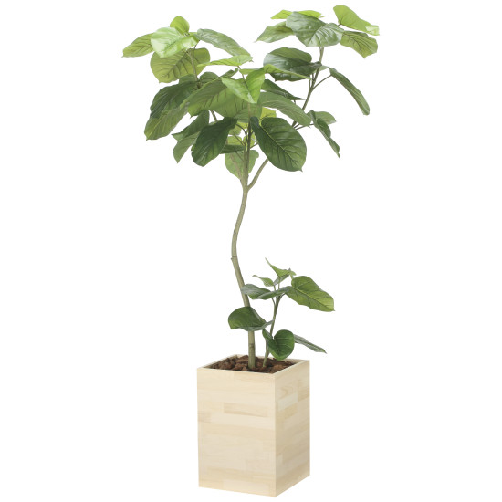 光触媒 人工観葉草木 造花 ウッドボックスウンベラータW1.8 (高さ180糎) (2512A680) バス発着場備品 光触媒 人工観葉草木・造花・フェイクグリーン 立ち会い場(鉢型)用人工観葉草木 165糎以上
