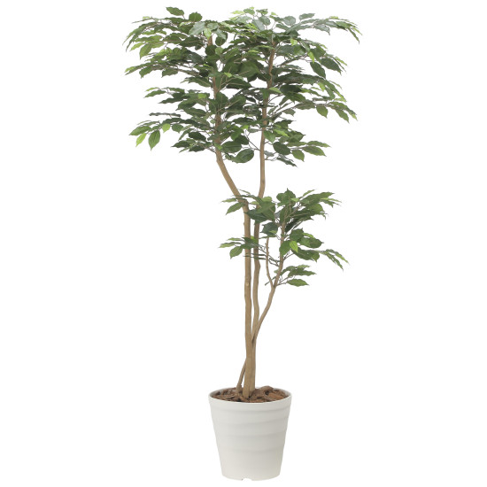 光触媒 人工観葉植物 造花 デザインベンジャミン1.6 (高さ160cm) (2516A350) 店舗用品 光触媒 人工観葉植物・造花・フェイクグリーン フロア(鉢型)用人工観葉植物 125～160cm｜サインモール　店 27,288円