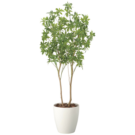 光触媒 人工観葉草木 造花 生新しいアセビ1.8 (高さ180糎) (2528A500) バス発着場設備 光触媒 人工観葉草木・造花・フェイクグリーン 立ち会い場(鉢型)用人工観葉草木 165糎以上