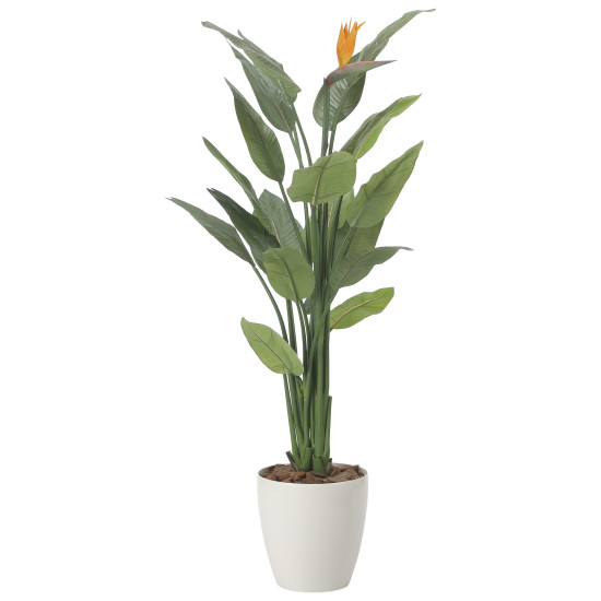 光触媒 人工観葉草木 造花 ストレチア花付1.5 (高さ150糎) (2565A500) バス発着場設備 光触媒 人工観葉草木・造花・フェイクグリーン 立ち会い場(鉢型)用人工観葉草木 125～160糎