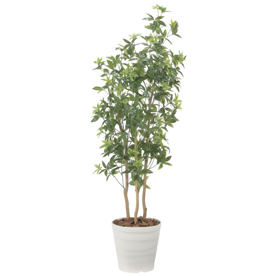 光触媒 人工観葉草木 造花 デラックスフレッシュパキラ1.8 (高さ180糎) (2602A550) バス発着場設備 光触媒 人工観葉草木・造花・フェイクグリーン 立ち会い場(鉢型)用人工観葉草木 165糎以上